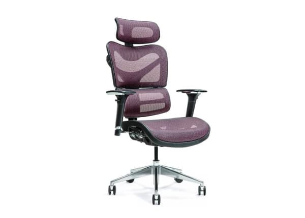 Ergonomisk kontorstol ERGO 600 plum