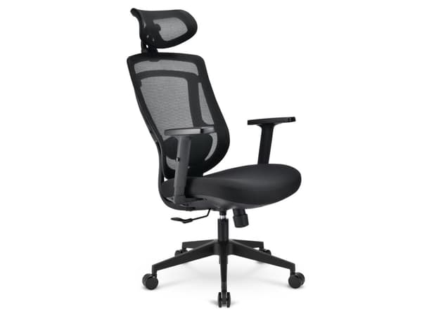 Sharkoon OfficePal C10, polstret sete, ryggstøtte med netting, svart, svart, stoff, skum, maske