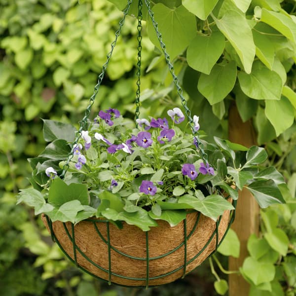 Kinzo Garden Hængende kokospotte