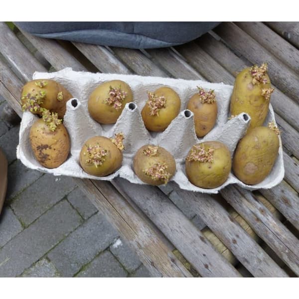 Nature Potatissäck för odling 37 L antracit
