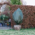 Miniatyrbillede 2 af 6: Nature frostdækkener 3 stk. 100x50 cm 50 g/m² fleece grøn