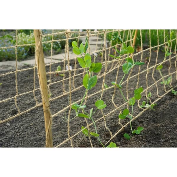 Nature Nät för klätterväxter jute 1x3 m naturlig