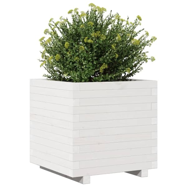 Odlingslåda vit 50x50x49,5 cm massiv furu