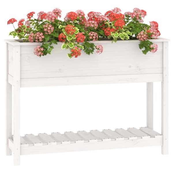 Odlingslåda med hylla vit 111,5x34,5x81 cm massiv furu