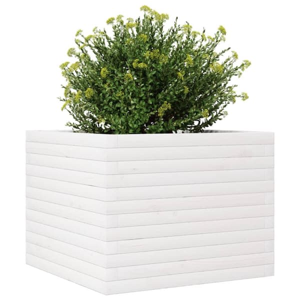 Odlingslåda vit 60x60x46 cm massiv furu