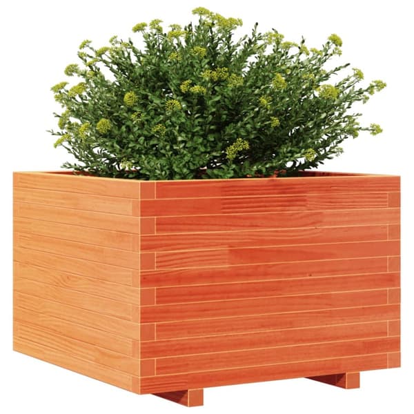 Odlingslåda vaxbrun 70x70x49,5 cm massiv furu