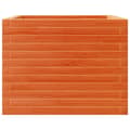 Miniatyrbild 5 av 10: Odlingslåda vaxbrun 60x60x45,5 cm massiv furu