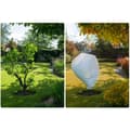 Miniatyrbillede 7 af 10: Beklædning agrotekstil 2000 cm x 160 cm Plonos - hvid