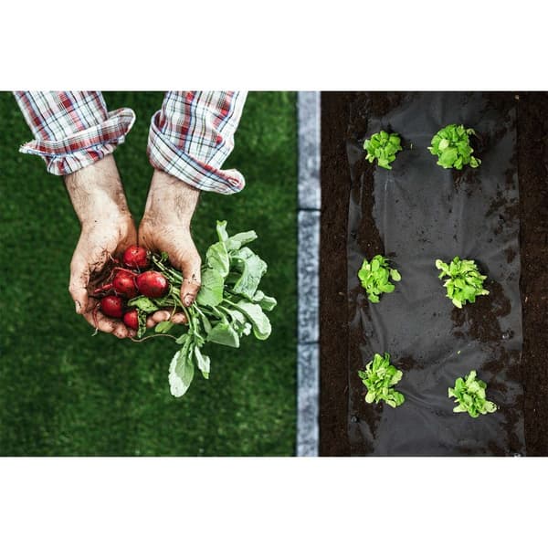 Have agrotekstil 1,6 mx 50 m 90 g/m2 + 100 Plonos stifter - sort