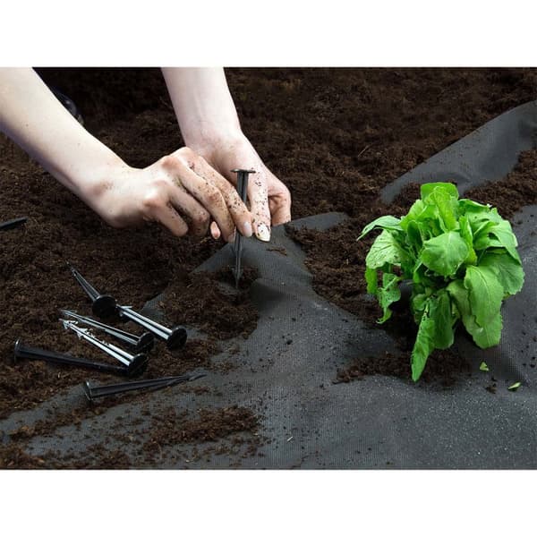 Have agrotekstil 1,6 mx 50 m 90 g/m2 + 100 Plonos stifter - sort