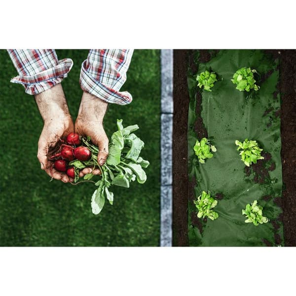 Have agrotekstil 1,6 mx 50 m 90 g/m2 + 100 Plonos stifter - sort-grøn