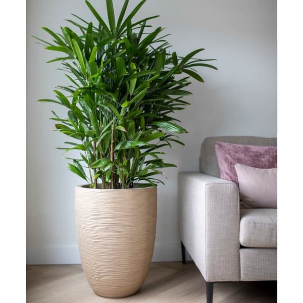 Kruka Waste Rib 34x46 cm beige