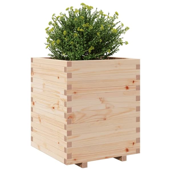 Odlingslåda 60x60x72,5 cm massivt furuträ