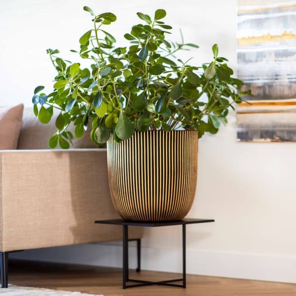 Kruka Groove 43x41 cm svart och guld