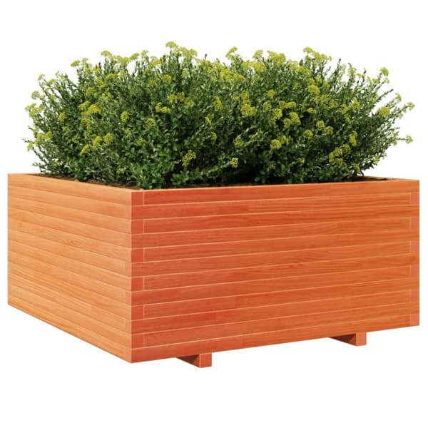 Odlingslåda vaxbrun 100x100x49,5 cm massiv furu