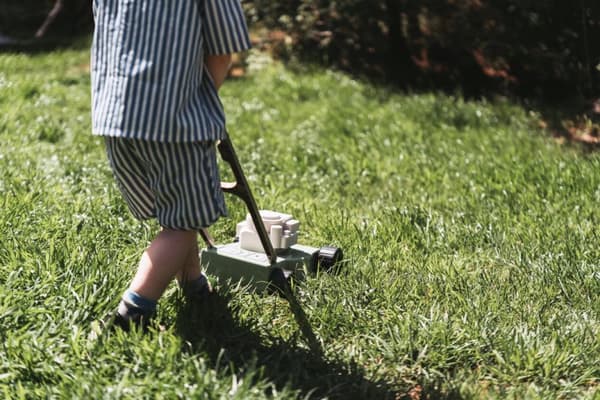Dantoy Green Garden Gräsklippare (61,5 cm)