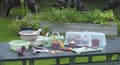 Miniatyrbild 2 av 5: Dantoy Green Garden Växthusskola -set 54 delar