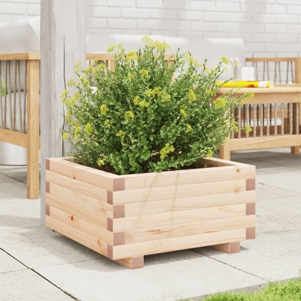 Odlingslåda 50x50x26,5 cm massivt furuträ