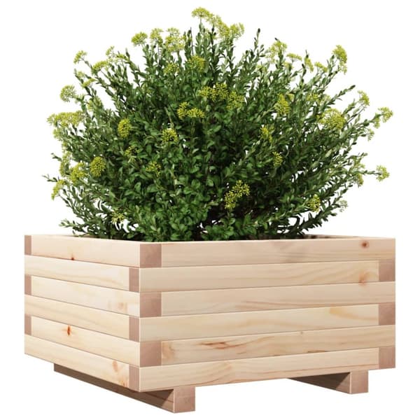 Odlingslåda 50x50x26,5 cm massivt furuträ