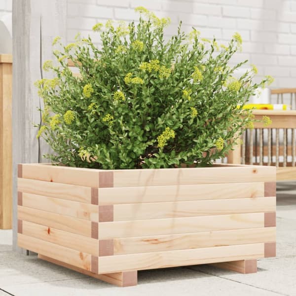 Odlingslåda 50x50x26,5 cm massivt furuträ
