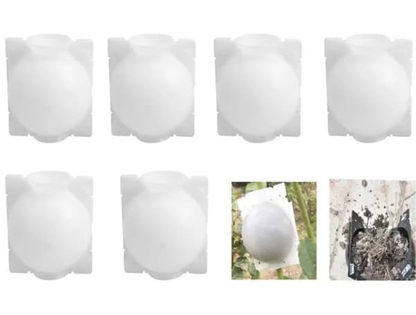 6-pack Växtrotningsset - S/M/L, Återanvändbara Rotboxar för Sticklingar och Luftskiktning Vit 6pcs-L