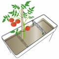Miniatyrbild 5 av 5: Planter Deroma Like R White