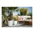 Miniatyrbild 5 av 8: Plant pot Elho 0464344715000 White Circular