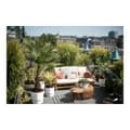 Miniatyrbild 6 av 8: Plant pot Elho 0464344715000 White Circular