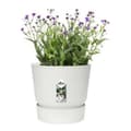 Miniatyrbild 8 av 8: Plant pot Elho 0464344715000 White Circular