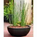 Miniatyrbild 2 av 2: Plant pot Riviera RIVIERA Black Ø 40 cm