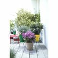 Miniatyrbild 3 av 5: Plant pot Elho Loft Urban 25 Yellow Ø 24,5 x 22,2 cm