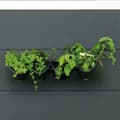 Miniatyrbillede 2 af 4: Hanging Planter Nature Black