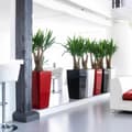 Miniatyrbild 4 av 5: Self-watering flowerpot Lechuza Red 39,5 x 39,5 x 75,5 cm polypropylene Plastic Rectangular