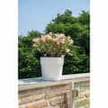 Miniatyrbillede 2 af 4: Planter Deroma White 48 x 43 cm 58 L