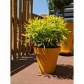 Miniatyrbild 1 av 2: Plant pot Riviera Yellow Ø 60 cm