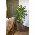 Miniatyrbild 2 av 4: Planter Capi Europe Golden Plastic Circular Ø 27 cm