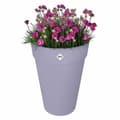 Miniatyrbild 5 av 6: Plant pot Elho