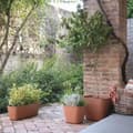 Miniatyrbild 3 av 6: Plant pot Deroma