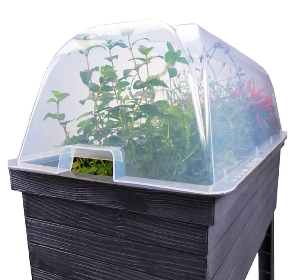 Urban cloche deksel