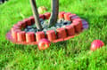 Pikkukuva 3 / 7: Puutarhapallisadi kauluksella IPAL7 | Terrakotta