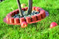 Pikkukuva 6 / 6: Puutarhapallisadi kauluksella IPAL7 | Ruskea