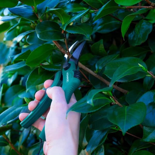 VONROC Sekatör för Blommor och Unga Skott – 20,5 cm, Bypass Blad med Softgrip, Max Ø15mm Klippkapacitet