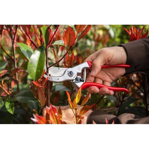 Sekatör - FELCO - 4 - Smidd aluminium - Klipper upp till 25 mm - Livstids garanti