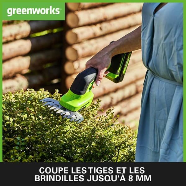 Greenworks verktygsax - 1600607