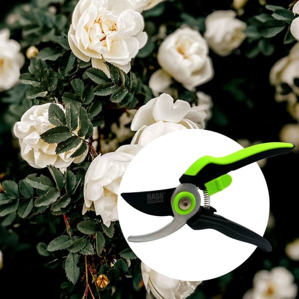 Beskæringssaks til buske og grene, manual