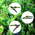 Miniatyrbillede 10 af 10: Beskæringssaks til buske og grene, manual