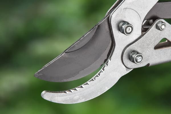 Teleskop grenbeskærer 670 mm, skærediameter 45 mm, aluminiumshåndtag
