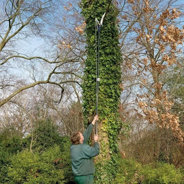 Spear Jackson Telescopisk Trädgårdssax Razorsharp 4930FZ
