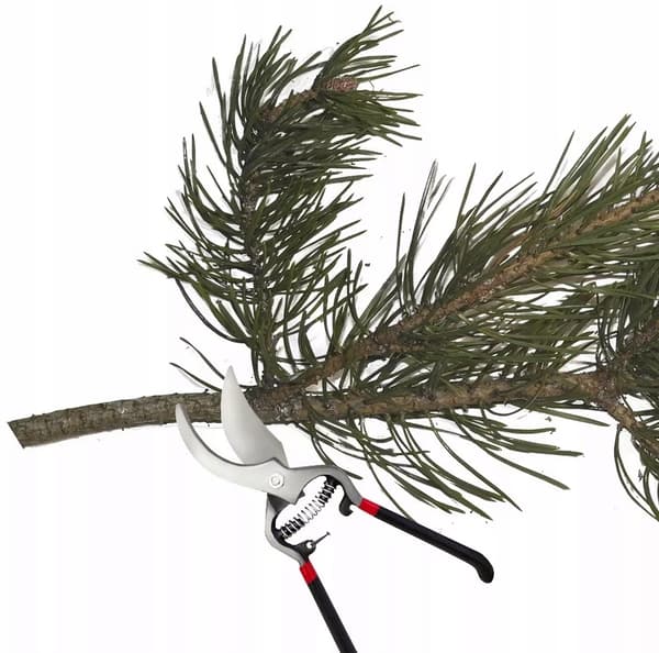 Manuell trädgårdsbeskärare för buskar grenar 20,5cm