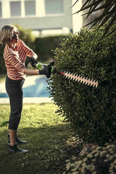 Hækkeklipper 40V Greenworks G40HT61 - 2200907